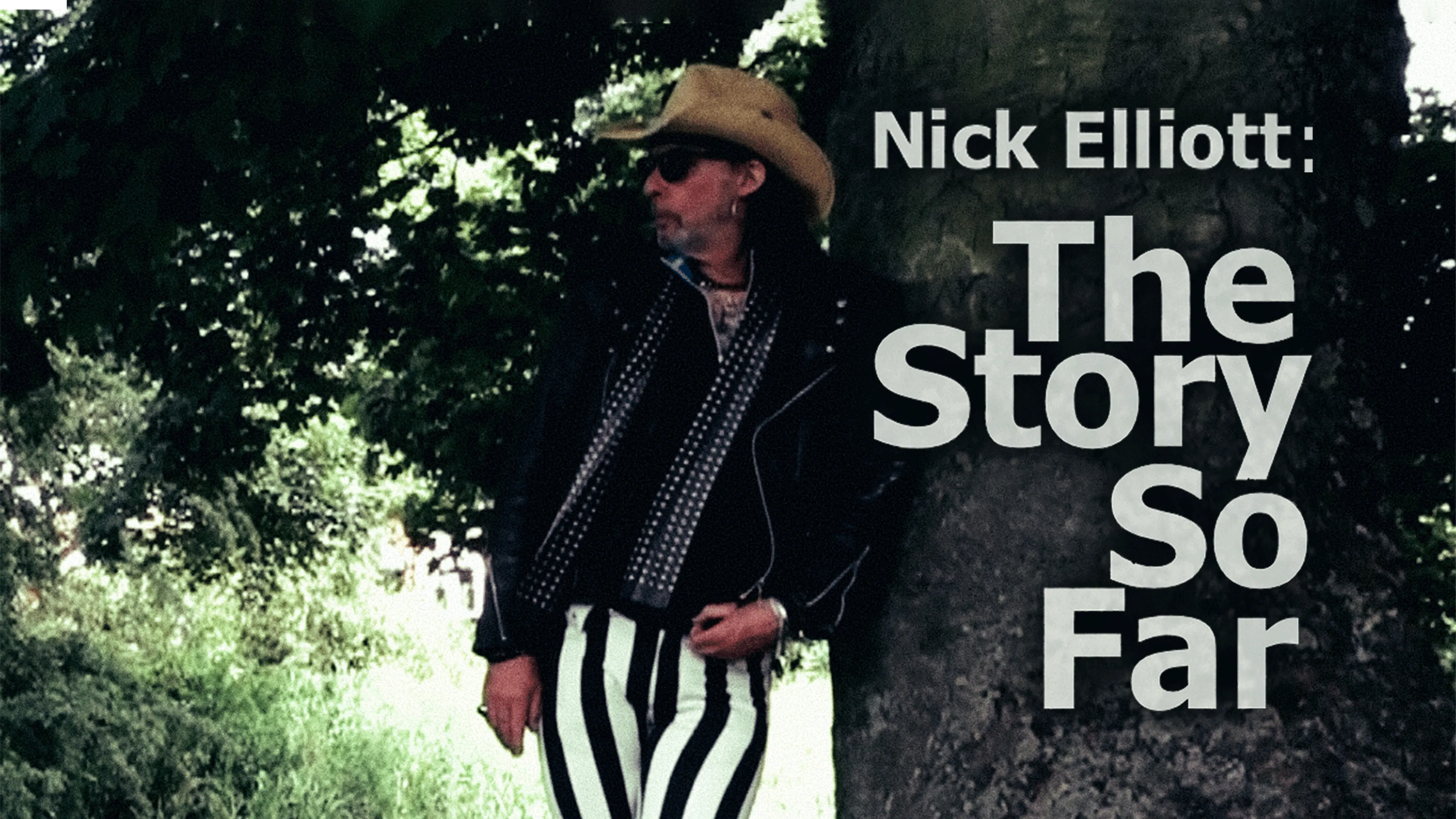 Nick Elliott: The Story So Far poster
